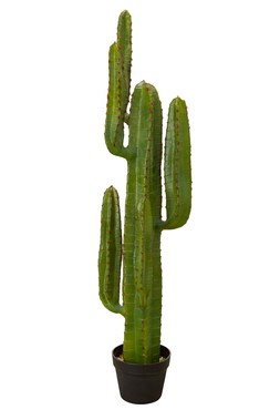 Homesense Colourful Christmas tall fauxcactus &pound;49.99