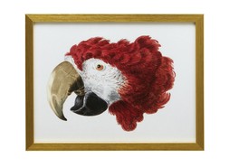 Homesense Cosy Christmas parrot art with gold frame
