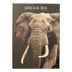 Homesense - Elephant File Box, &pound;6.99 (2)