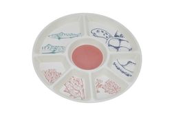 plastic dish &pound;5.99