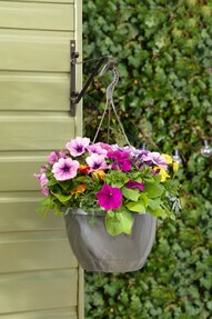 https://www.prshots.co.uk/contents/archives/3552/1530/images/thumb350x287_auto/dobbies-garden-centres_2-for-gbp15-spring-hanging-pots-lifestyle_b1462_thumb.jpg