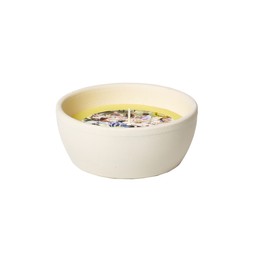 CITRONELLA SMALL WHITE DISH CITRONELLA &pound;5.99