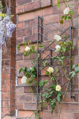 OUTDOOR LINEAR TRELLIS ZINC H100CM W48CM &pound;49.99