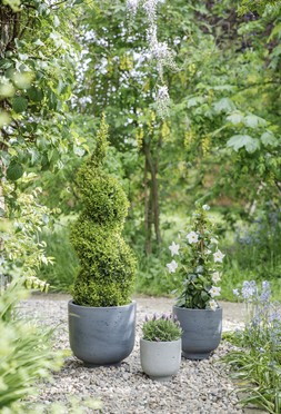 OUTDOOR SEATTLE CEMENT PLANTER H20CM D20CM &pound;19.99 & OUTDOOR SEATTLE SLATE PLANTER H27CM D27CM &pound;29.99 & OUTDOOR SEATTLE SLATE PLANTER H34CM D34CM &pound;49.99