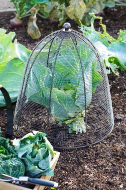 OUTDOOR WIRED PLANT PROTECTOR ZINC H55CM W47CM &pound;49.99