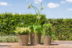 POLYRATTAN NATURAL LINED PLANTER H49CM D44CM &pound;59.99
