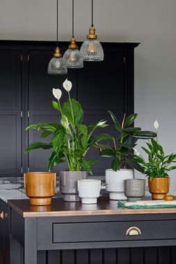 ARIES GLAZED HANDLES PLANTERS