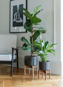 Aspen Chevron Olive Planter H34cm D22cm &pound;44.99