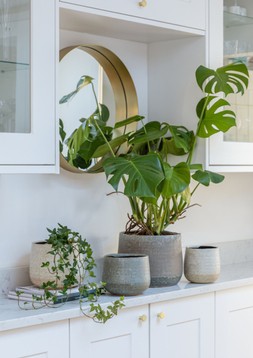 Celeste Cream Planter H14cm D15cm &pound;12.99, H17cm D21cm &pound;24.99, Celeste Grey Planter H15cm D18cm &pound;19.99, H21cm D26cm &pound;49.99