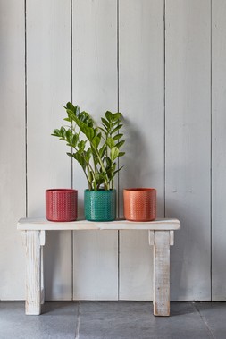 Chevron Emerald Planter H17cm D19cm &pound;16.99, Chevron Ruby Planter H17cm D19cm &pound;16.99, Chevron Sienna Planter H17cm D19cm &pound;16.99