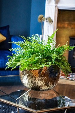 Hammered Bowl Gold:Black 30cm &pound;59.99 1