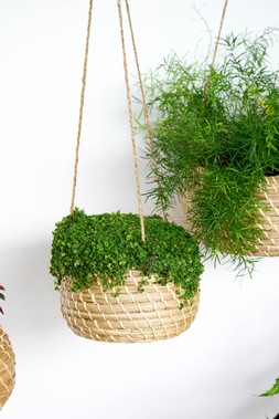 Hanging Seagrass Planter 16cm &pound;15.99