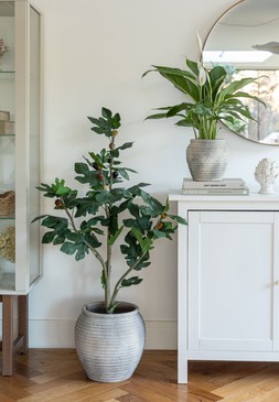 Honeypot Rustic Grey Planter H21cm D19cm &pound;24.99, Honeypot Rustic Grey Planter &pound;69.99