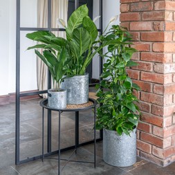 INDOOR PLANTER WITH STAR IN GALVANISED STEEL H28CM W28CM £39.99, INDOOR PLANTER WITH STAR IN GALVANISED STEEL H23CM W23CM £29.99