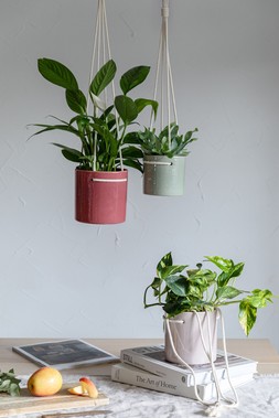 KAI HANGING CYLINDER PLANTER IN BLUSH, MINT AND CHERRY £13.99 TO £17.99