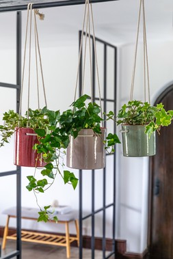 KAI HANGING CYLINDER PLANTER IN BLUSH, MINT AND CHERRY £13.99 TO £17.99