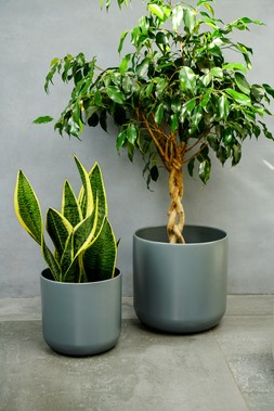 Lisbon Planter Charcoal H26cm D26cm &pound;29.99