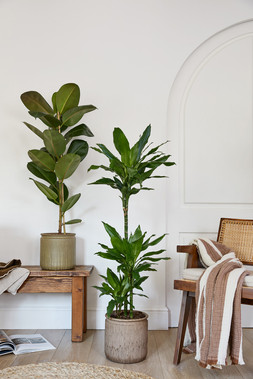 LOTUS MATT SPECKLE GREEN PLANTER