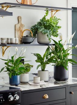 Lisbon Planter