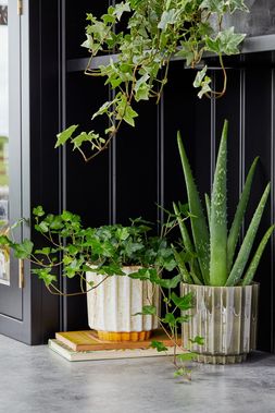 LUGANO SCALLOPED REACTIVE PLANTERSs