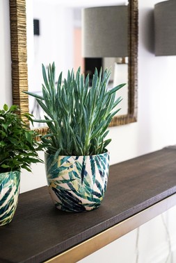 Monza Botanical Fern Planter H15.5cm D15.5cm &pound;11.99
