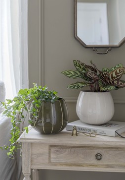 Nova Wax Relief Cream Planter H18cm D23cm &pound;29.99 1