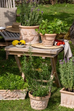 OUTDOOR CYPRESS OLIVE WINDOW BOX H18CM D50CM £69.99