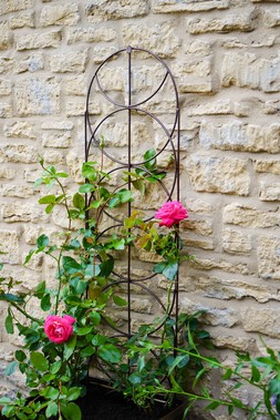 OUTDOOR CYLINDER TRELLIS