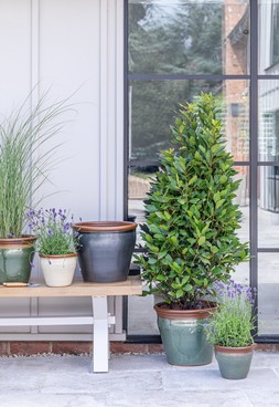 OUTDOOR MORGAN ROLLED RIM PLANTERS £12.99 - £34,99 each