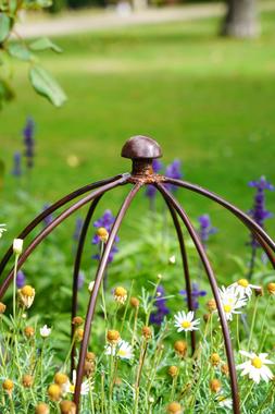 OUTDOOR PLANT SUPPORT BRONZE H50CM W26CM