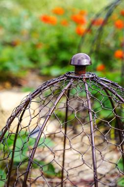 OUTDOOR WIRE NETTED PLANT PROTECTOR BRONZE H55CM W47CM