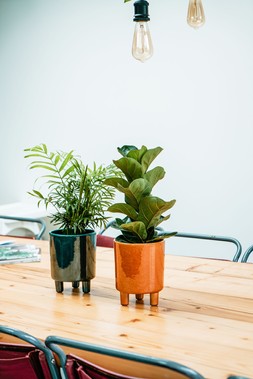 Pisa Mustard Planter H19cm D16cm &pound;29.99 2