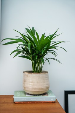 POT COMO IVORY H15CM D18CM &pound;19.99