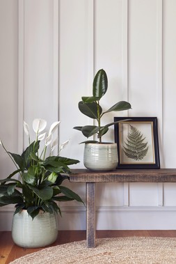Pot Como Mint H15cm D18cm &pound;19.99, Pot Como Mint H21cm D26cm &pound;49.99 1