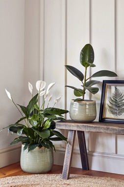 Pot Como Mint H15cm D18cm &pound;19.99, Pot Como Mint H21cm D26cm &pound;49.99
