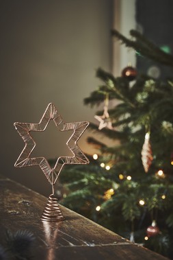 Rigel Star Tree Topper Copper &pound;9.99