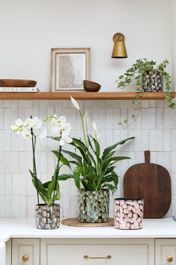 RIO REACTIVE SPOT PLANTERS IN PINK, GREEN & BLUE £14.99 - £29.99