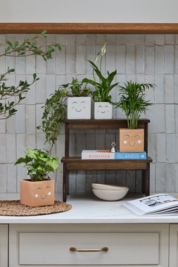 SQUARE SLEEPY FACE PLANTERS in WHITE & TAN - Small £4.99 Large £9.99
