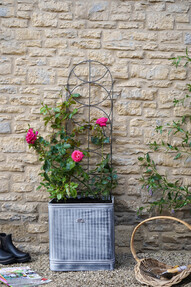 Grow your own