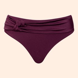 BEACH BLISS HIGH LEG BIKINI BRIEF MULBERRY PURPLE