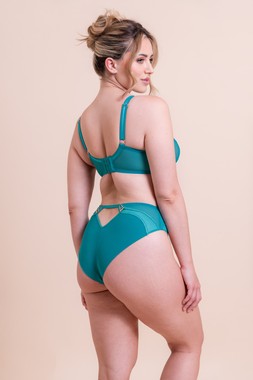 SUSPENSE PLUNGE BRA TEAL £39  €59  USD$71  CAD$87  AUD$91.95  & HIGH WAIST BRIEF £21  €32  USD$35  CAD$39  AUD$42.95
