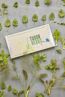 Tudor Herbs Growbar