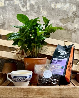 THE COFFEE LOVER’S HAMPER