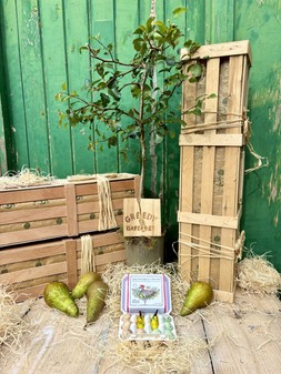 The Partridge in a Pear Tree Gift Crate