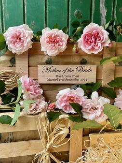 Mother of the bride