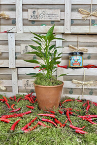 https://www.prshots.co.uk/contents/archives/4061/1655/images/thumb350x287_auto/the-gluttonous-gardener_fathers-day-chilli-box_thumb.jpg