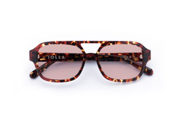 ARRAN DARK TORTOISE Lenses Blush