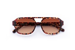 ARRAN DARK TORTOISE Lenses Sienna Sunset