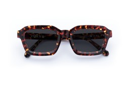 FINLAY DARK TORTOISE Lenses Grey