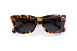 FORBES CARAMEL TORTOISE Lenses Grey